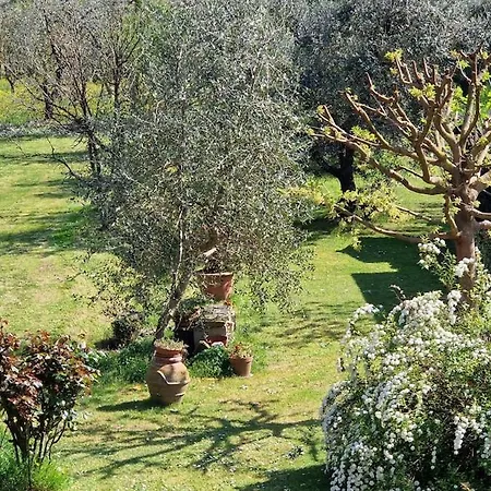Casa Morena * Montecarlo